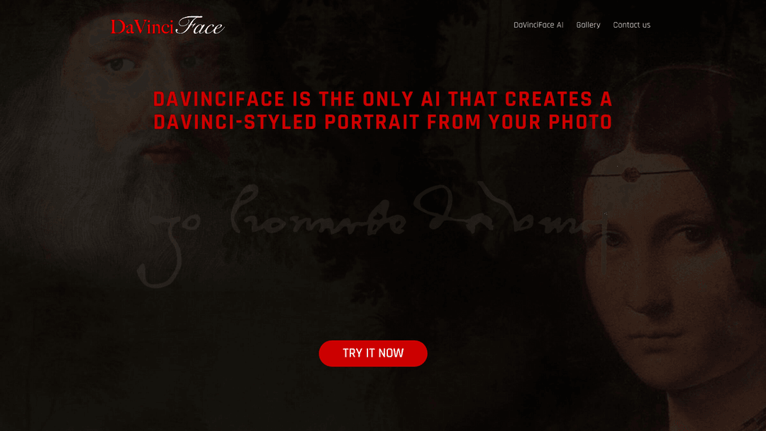 davinciface.com