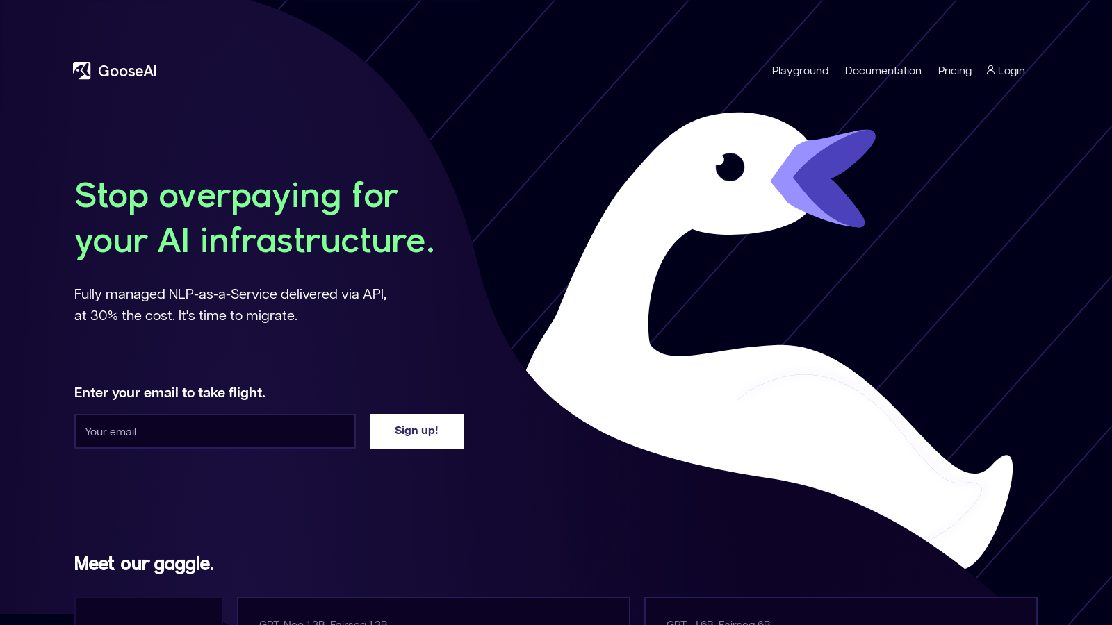 goose.ai