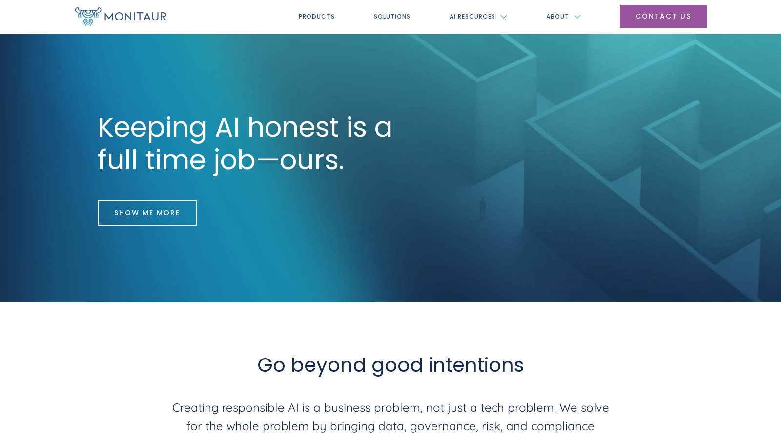 monitaur.ai