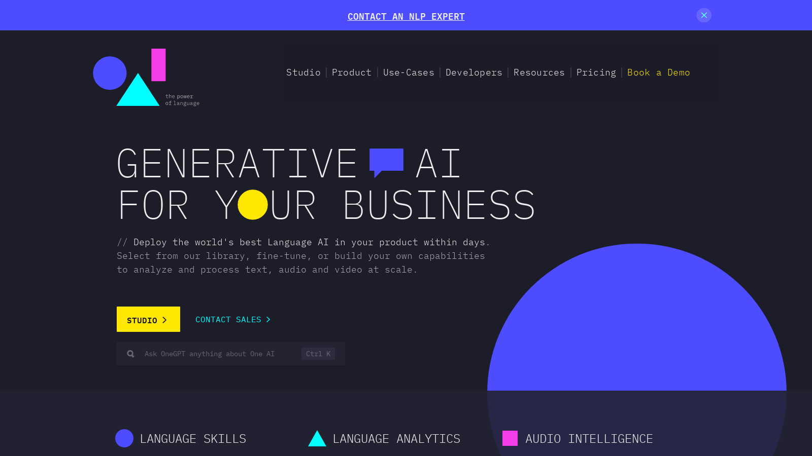 OneGPT: Advanced NLP for Your Business